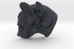 Cat Multi-Faced Caricature