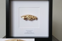 Horse Multi-Faced Caricature